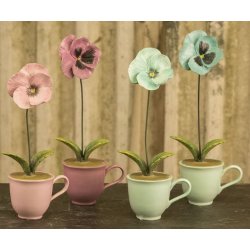 Stedmoderblomst i 4 farver/varianter.